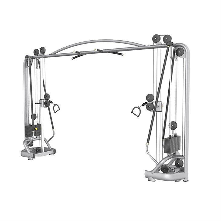 Multi-functional Gantry Crane