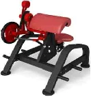 Seated Biceps Curl Plate Loaded Special Biceps Strength Trainer best
